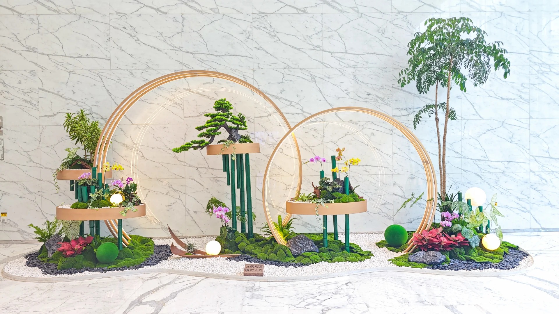 余姚盆景租摆哪家出色？深度评测告诉你！